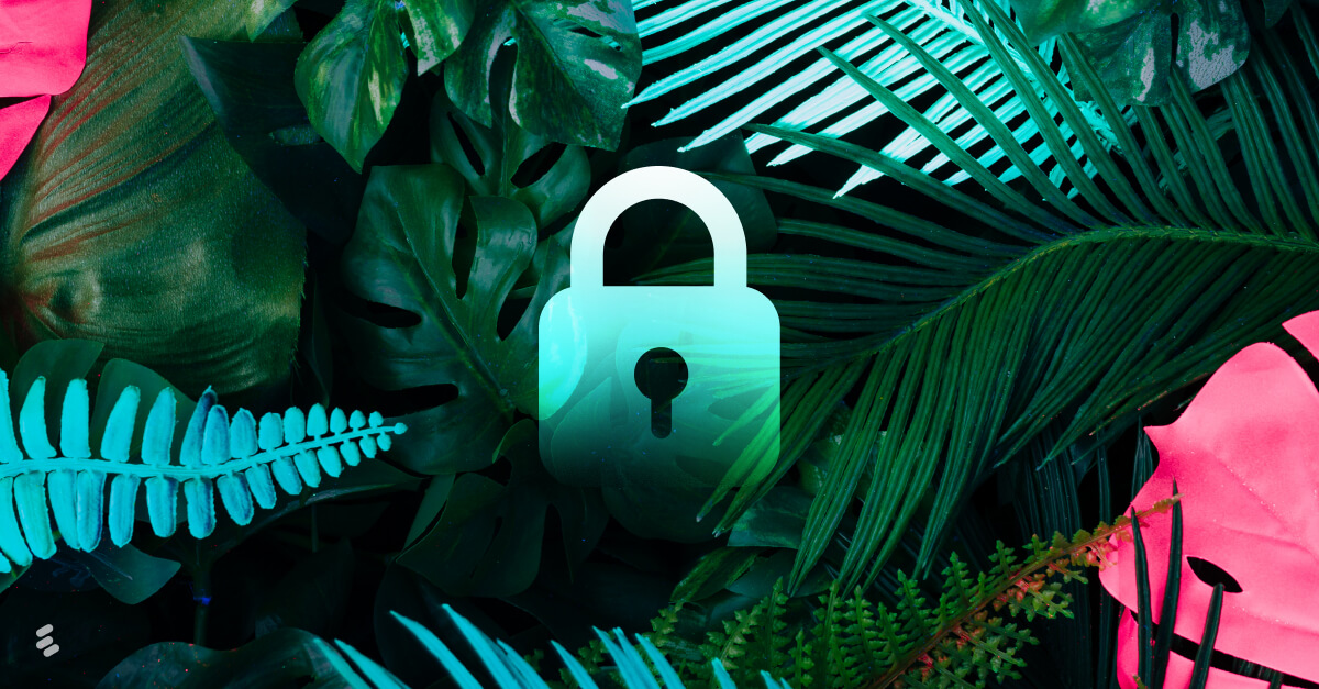 9 tips for being a transparent and privacy-centric brand