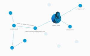 A customer profile on a CDP interface.