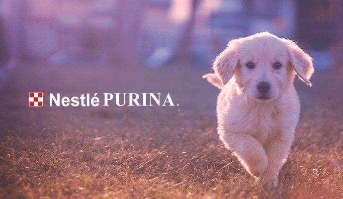 nestle purina puppy photo